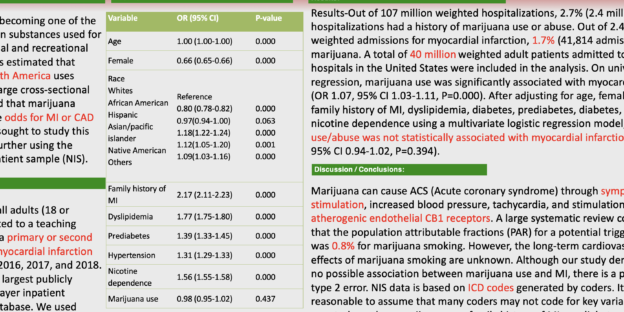 R6-R_Raj_Marijuana Smoking - Screenshot 2022-03-21 at 4.47.03 PM